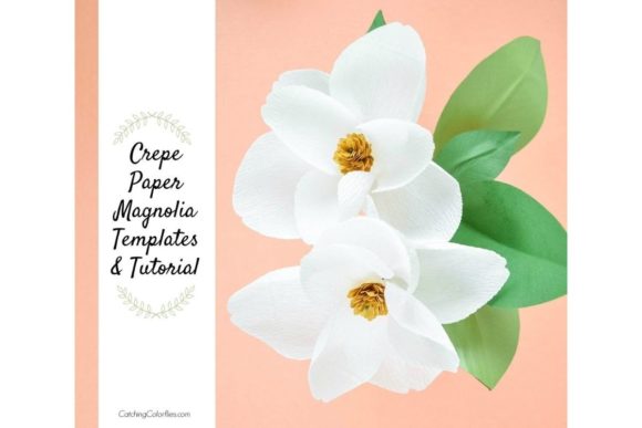 Magnolia Crepe Paper Flower Templates
