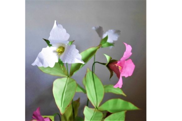 Trillium Grandiflorum 3D SVG Paper Flower Templates for Real Crafters